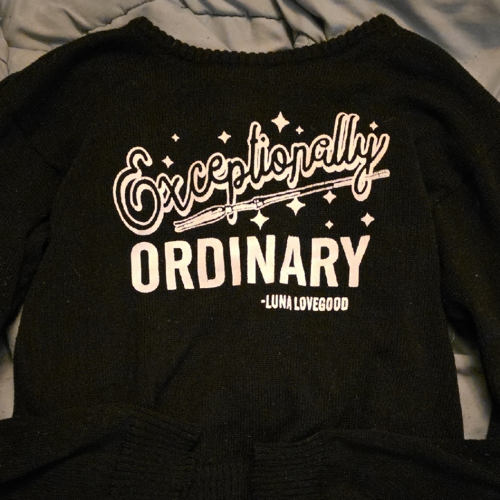 Warner Bros. Black Harry Potter Sweater